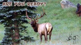 AZ Elk Videos  Are You Ready [upl. by Neltiac]