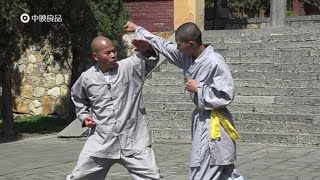 Shaolin Kung Fu small Luohan 18 hands combat applications [upl. by Enotna]