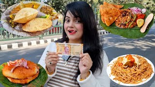 Living on Rs 200 for 24 HOURS Challenge  Dehradun Food Challenge [upl. by Brookes]