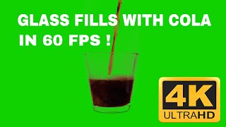 Glass fills with Cola  Green Screen  Free Download  4K 60 FPS [upl. by Diane]