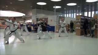 Okinawan Matayoshi Kobudo Demonstration in Finland [upl. by Livvyy]