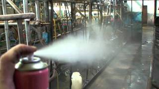 Killing Flies in Milking Parlour August 2010 [upl. by Villada394]