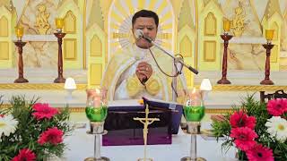 Holy Mass November 13 Monday I 530 AM I Malayalam I Syro Malabar I Fr Bineesh Augustine [upl. by Smaj75]