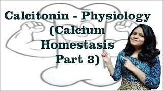 Calcitonin Physiological actions I Calcium homeostasis 3 I Endocrine Physiology [upl. by Fabrienne]