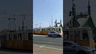 Budapest Tram  Liberty Bridge  Szabadság híd  Hungary budapesttram [upl. by Selby55]