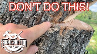 No Nonsense Guide to Tree Felling How to cut down a tree safely FarmCraft101 [upl. by Bryana]