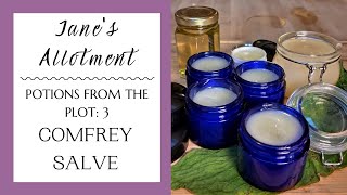 How to make a comfrey salve [upl. by Lleinnad]