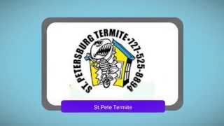 StPete Termite Company [upl. by Brana]