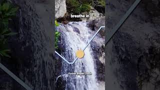 Guided Breathing Meditation for Anxiety 46 breathingtechnique breathingmeditation [upl. by Qidas]