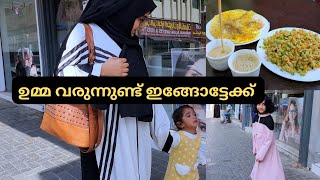 എന്റെ ഉമ്മ വരുന്നു  Healthy oats upma recipe  Abaya house Sharjah rolla  Healthy Breakfast [upl. by Alioz]