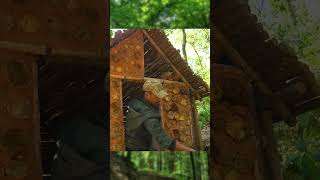 build a small house with wood and soil survival bushcraft outdoors shelter camping [upl. by Hamilton]