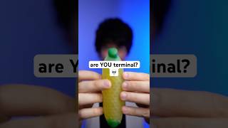 are YOU terminal 💀 asmr [upl. by Arodnahs]