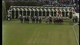 1979 WS Cox Plate  original TV broadcast [upl. by Ahseena]