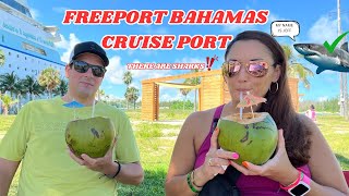 Shark Encounter Freeport Bahamas Cruise Port Tour [upl. by Stalk]