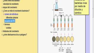 crecimiento bacteriano [upl. by Aitital654]