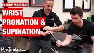 Forearm Pronation and Supination Manual Exercises [upl. by Eldoree]