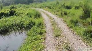 jeep safari raazkoirala youtubevideo viralvideos viralvideo viralvlogs jangal sauraha [upl. by Wons]