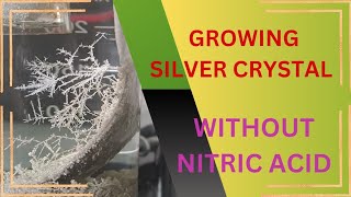 how to easily grow silver crystals at home [upl. by Coral287]