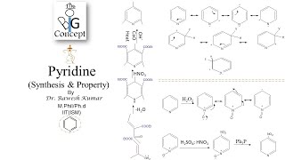 Pyridine Synthesis and Propertythebigconceptpgtopics6291 [upl. by Alrrats]