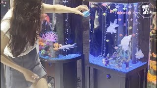 Stunning Underwater World Explore the Beauty of a Planted Aquarium 200 [upl. by Adnawat]