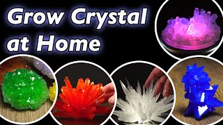 How to Grow Crystals at Home Compilation [upl. by Urd792]