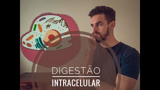 DIGESTÃƒO INTRACELULAR  ORGANELAS MEMBRANOSAS PARTE 02 [upl. by Reaht]