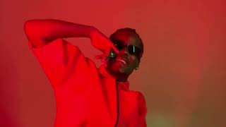 D Jay  Amina Official Video [upl. by Itsim]