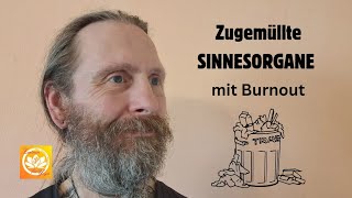 Zugemüllte SINNESORGANE mit Burnout [upl. by Araem]