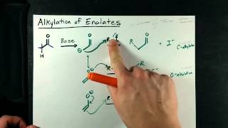 Alkylation of Enolates  Ketone  Alkyl Halide [upl. by Heron]