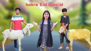 Bakra eid special   Funny  Moral Story  MoonVines [upl. by Service]