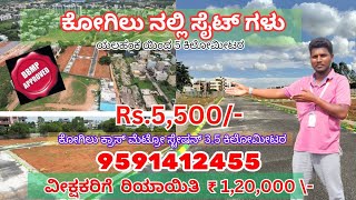 Plots in Bangalore  ಕ್ಲೀಯರ್ ಪೇಪರ್  ಡೈರೆಕ್ಟ ಓನರ್  Kogilu  sites in Bangalore  Near Yelahanka [upl. by Sophronia]