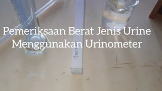 Urinalisis Pemeriksaan Berat Jenis Urine Urinometer [upl. by Anyd]