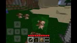 Minecraft Pocket Edition  Survival  Ep3 CACTUS FARM [upl. by Drus]