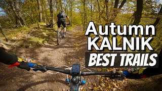 Jesenski MTB  NAJBOLJI trailovi na KALNIKU 🍁 [upl. by Dnob]