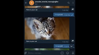 Sending Photos and Photo Album in a Telegram Bot with c net [upl. by Wolbrom]