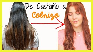 Cómo PINTAR el cabello COBRIZO💆‍♀️ SIN DECOLORAR 👩‍🦰 [upl. by Akcirret]