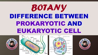 DIFFERENCE BETWEEN EUKARYOTIC AND PROKARYOTIC CELLS  BSC Botany 4th semester  HSR Bioinfo [upl. by Cheadle]