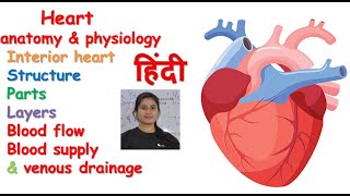 Angioplasty  Explained by EECP Expert [upl. by Ecirtael]