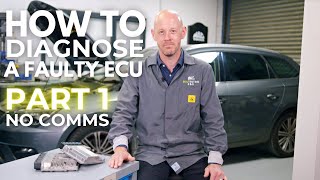 How To Diagnose A Faulty ECU With No Communication [upl. by Sirrah]