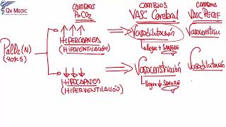 3 RM19 1V D A 2 NEUROCIRUG A HIC GENERALIDADES Y FISIOPATOLOG A [upl. by Engis]