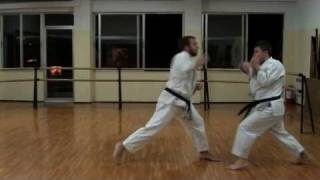 Shorin Ryu Karate Do  Okinawan Kobudo  Bunkai  Kata [upl. by Lertsek]