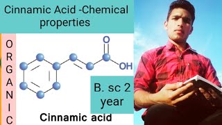 Cinnamic Acid chemical properties [upl. by Kora975]