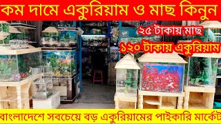 Aquarium price in Bangladesh  Aquarium fish price in katabon Aquarium fish price in Bangladesh [upl. by Aremmat]