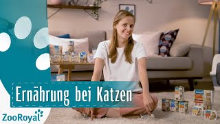 Ernährung bei Katzen  Rund um die Katz mit Katzenbloggerin Ani  ZooRoyal [upl. by Spatz]