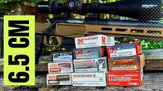 Ultimate 65 Creedmoor Ammo Test Bergara MGLite [upl. by Wons]