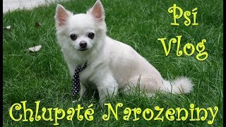 Herkuldovo Narozeninový Vlog [upl. by Nerreg]