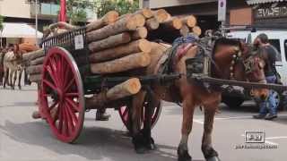 Tres Tombs 2015 encuentro nacional carruajes antiguos a Sant Joan Despí 1ªparte [upl. by Hestia]