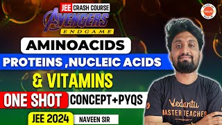 Amino Acids Proteins Nucleic Acids amp Vitamins One Shot  PYQs  JEE 2024  Chemistry  Naveen Sir [upl. by Jens820]