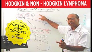 Hodgkins vs Non Hodgkins Lymphoma  Pathology🩺 [upl. by Anirtek]