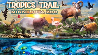 Zoo Tours Tropics Trails  Minnesota Zoo [upl. by Ytsirt]